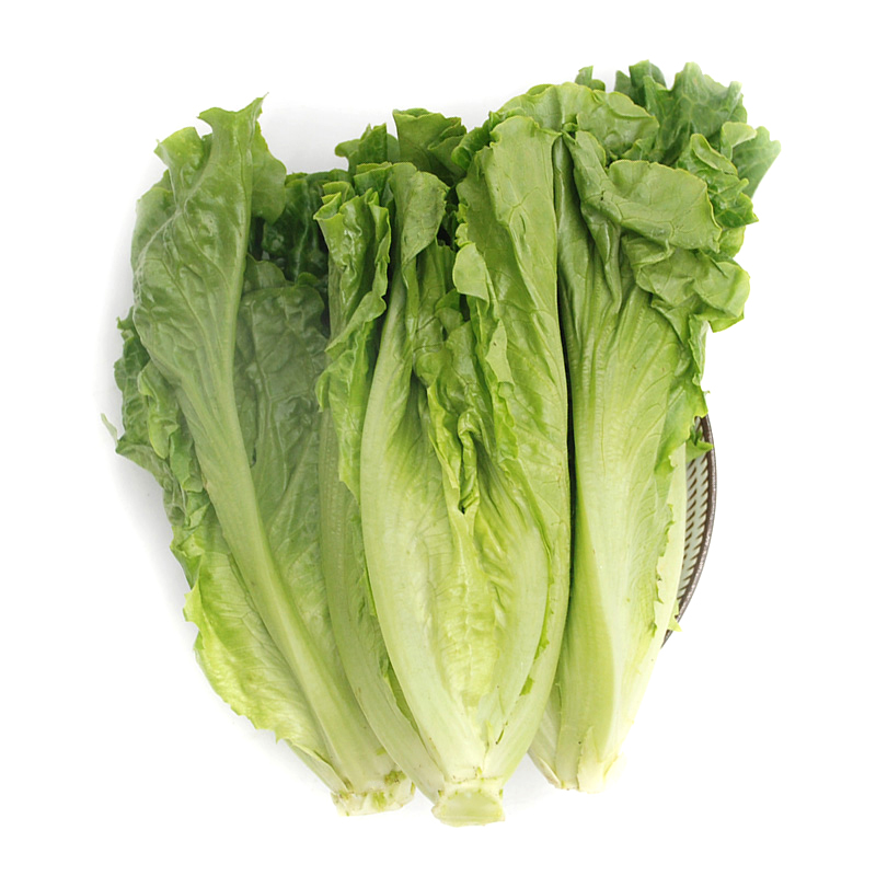 绿鲜知 罗马生菜  400g  沙拉菜  新鲜蔬菜  健康轻食