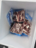 天莱香牛 【烧烤季】国产新疆 有机原切牛仔骨500g 谷饲排酸冷冻牛肉 实拍图