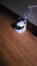 Enabot  EBO SE移动监控 宠物陪伴机器人 App远程陪娃逗宠移动监控 全屋移动摄像头 EBO SE  标准款【内含32G内存卡】 实拍图