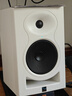 K&LKali LP6 V2 IN5 IN8 V2 lp8专业监听音箱 双分频三分频同轴音响 LP6 V2白色（赠音箱垫+线）单只 实拍图
