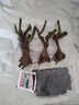 玩冒（WMO）玫瑰花大苗【3株+盆土肥】可自选当年开花大苗盆栽地栽耐寒花卉 卡罗拉【3棵+盆土肥】 实拍图