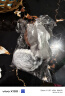 可爱小松鼠毛绒挂件钥匙扣百搭书包包挂件创意饰品公仔玩偶ins女情侣礼品生日礼物 灰色 实拍图