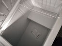 雪贝娜冰柜商用大容量全冷冻家用双温卧式冷柜展示柜 798单温智能温控 晒单实拍图