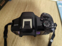 佳能（Canon）EOS R50单机身+RF 50mmF1.8镜头【黑色】扫街拍摄套装 实拍图