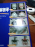 【丹麦引进】影像解剖学 X线CT磁共振MRI超声诊断医学超声影像学诊断原理与技术图谱图解影像解剖学临床解剖学图谱影像学医学书籍 晒单实拍图