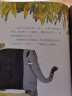 吃黑夜的大象 新版（白冰原创绘本 形象展示昼夜黑白交替，给怕黑孩子准备的晚安绘本，附赠导读小手册） 实拍图