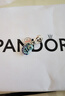 潘多拉（PANDORA）变色龙串饰蓝色温变珐琅工艺海洋个性高级diy串珠生日礼物送女友 变色龙吊饰 均码 实拍图