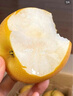 王掌柜山东烟台 莱阳 秋月梨 冰糖脆甜 细腻化汁 甘甜酥脆  甘甜秋月梨 净果3斤3-6颗250g+ 实拍图