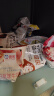 海河牛奶儿童营养早餐奶天津牛奶袋装新鲜日期 国有牧场 海河牛奶大礼包11袋 实拍图