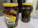 三和四美酱菜扬州特产酱菜大全食品调味品下饭菜瓶装375g爽口小菜 姜丝乳瓜375g（瓶装） 实拍图