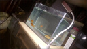 SEA STAR 超白鱼缸超白玻璃水族箱 小型鱼缸桌面客厅斗鱼乌龟缸草缸金鱼缸 裸缸150*110*130经济款 实拍图