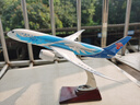 中国南方航空（CHINA SOUTHERN）波音787原型飞机模型 仿真航模客机礼品摆件 合金等材质客机模型 787-29cm 实拍图