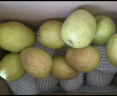 京鲜生 新疆库尔勒香梨 2.5kg 一级 单果100g-120g  生鲜水果 晒单实拍图