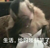 Y8 货架置物架仓储家用超市货架仓库多层展示架重型地下室储物架 单独加层 轻型【长150*宽40*高200cm】 实拍图