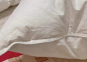 丽思卡尔顿五星级酒店 白鹅绒枕头  羽绒毛单人枕芯羽绒枕芯 ( 枕芯单只+保护套 ) 51×76 cm 晒单实拍图