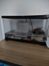 阔庭（KUOTING）鱼缸桌面透明生态鱼缸客厅水族箱黑色 实拍图