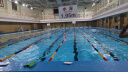 英发（YINGFA）手蹼 专业斧式划水掌游泳训练自由泳蛙泳训练提速辅助装备H02 S码 实拍图