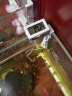 派乐特 鱼缸温度计专用水族箱感应水温计温度表配件用品 外置温度计 实拍图