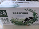 金典金典纯牛奶250ml*16盒/箱 优质乳蛋白100%生牛乳 实拍图