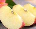 洛川苹果 陕西水果红富士苹果20个80mm约4.75kg苹果水果礼盒 新鲜时令水果 20枚80 实拍图