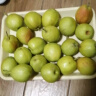译优农【顺丰现摘】新疆库尔勒香梨 新鲜特级梨子脆甜香梨当季孕妇水果 5斤精选一级果彩箱装【单果100-120g】 新鲜 实拍图