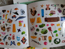宝宝认知贴纸书(全10册)  实拍图
