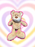 NICI520情人节礼物生日玩偶抱枕毛绒泰迪熊亨尼熊毛绒玩具公仔送女生 实拍图