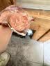 哈尔滨红肠【工厂】蒜香香肠零食烤肠腊肠猪肉肠真空包装 [独立包装]精品红肠90g*5根 实拍图