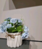 盛世泰堡仿真花假花盆栽花束绢花装饰花艺餐厅玄关客厅摆件小清新蓝色18cm 实拍图