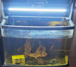 森森（SUNSUN）鱼缸灯led灯照明灯变色LED水族箱造景灯龙鱼灯潜水灯 【11W光之白】60cm长 适合80-90缸 实拍图