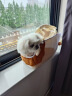 梵都宠舍猫包猫咪外出背包斜挎包透气便携猫咪用品帆布手提猫包 晒单实拍图