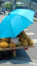 渔之源（Yuzhiyuan） 钓鱼伞防雨垂钓加厚多向钓伞渔具伞户外钓鱼遮阳伞 1.8米 【福利款】蓝 实拍图