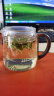 忆壶茶（YIHUTEA） 玻璃茶杯加厚水杯大容量茶水分离杯办公家用泡茶杯子耐热玻璃杯 【鹰嘴不挂流】透明书辰壶500ML 实拍图