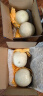 京鲜生 玉菇甜瓜 2粒装 单果重1-1.4kg 生鲜水果 实拍图
