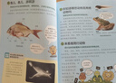 1分钟图解科学（全3册）物理 地理 生物 化学 中小学 科普读物 实拍图