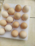 沱沱工社 柴鸡蛋 15枚 农场自产 净含量0.7kg  晒单实拍图