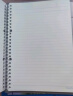国誉(KOKUYO)淡彩曲奇·晴空·B5活页本大容量笔记本子记事本附5张分隔页 40张横线内页 初晴黄紫 WSG-RUVP11YV 实拍图