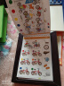 逻辑狗2-3-4-6岁男女孩儿童卡片早教机玩具幼儿园思维逻辑训练生日礼物 4-5岁精装-配（6钮板+7本书） 实拍图