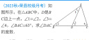 坦博尔轻薄羽绒服男士短款连帽宽松简约保暖外套TF236209 大地迷彩 190  实拍图