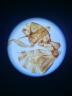 Phenix凤凰生物显微镜XSP-06-1600X升级版高清高倍学生专业畜牧螨虫检测 晒单实拍图