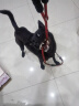 索米拉（Suomila）狗狗绳子加长加粗牵引绳反光小中大型犬宠物用品狗链子1.5m 红色 实拍图