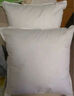 恒源祥纯棉抱枕芯纯色靠枕芯沙发靠垫内胆40 45 50 55 60婚庆靠枕芯腰枕 白色(一对) 60cm*60cm 含枕芯 实拍图