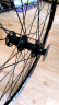 乐百客（LeBycle） 山地自行车轮组培林轴承26寸轮毂铝合金轮子双层车圈单车车轮碟刹全套-M01D单后轮 晒单实拍图