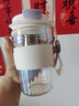 物生物（RELEA）玻璃杯高颜值大容量女士茶水分离车载办公杯子 流光紫【细密滤网/带提绳】 400ml 实拍图