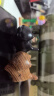 玄同 小黑猫檀木小猫原创把玩摆件可爱手工迷你桌面治愈系创意简约礼 黑檀傲娇猫 实拍图