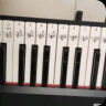 曼尔乐器钢琴键盘贴88/61/54键电子琴键盘贴纸无胶贴五线谱简谱乐器配件 晒单实拍图