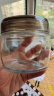 龙士达玻璃瓶密封罐500ml4只装储物罐泡酒瓶泡菜坛子杂粮茶叶干果零食瓶 实拍图