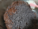 舒可曼 巧克力豆 代可可脂烘焙可可豆 黄油淡奶油曲奇饼干装饰 100g 实拍图