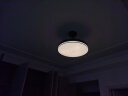 雷士（NVC）吊扇灯三防IP65风扇灯客厅卧室无极调光调色调风大尺寸42寸60瓦 实拍图