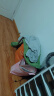 MQDMINI童装儿童T恤长袖上衣男童休闲春装宝宝衣服运动衫 YY恐龙米绿 120 晒单实拍图